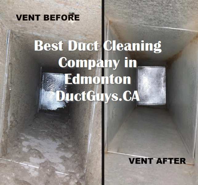 Professional Duct Cleaners
